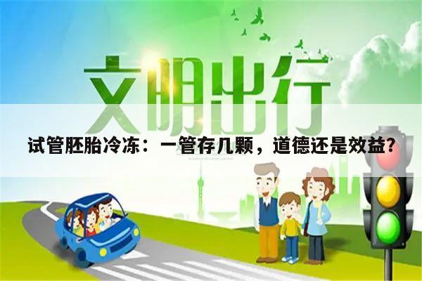 试管胚胎冷冻:一管存几颗,道德还是效益?