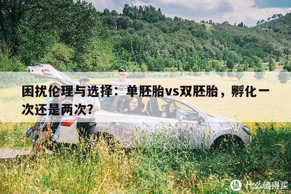 困扰伦理与选择：单胚胎vs双胚胎，孵化一次还是两次？