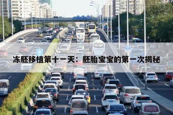 冻胚移植第十一天:胚胎宝宝的第一次揭秘