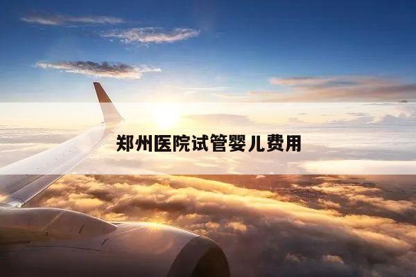 郑州医院试管婴儿费用的相关问题
