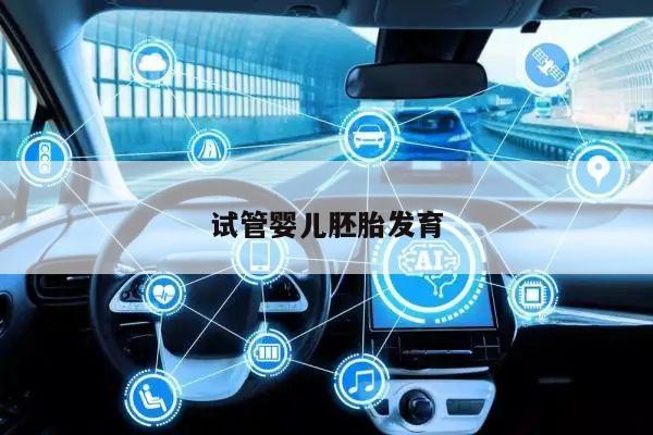 试管婴儿胚胎发育过程