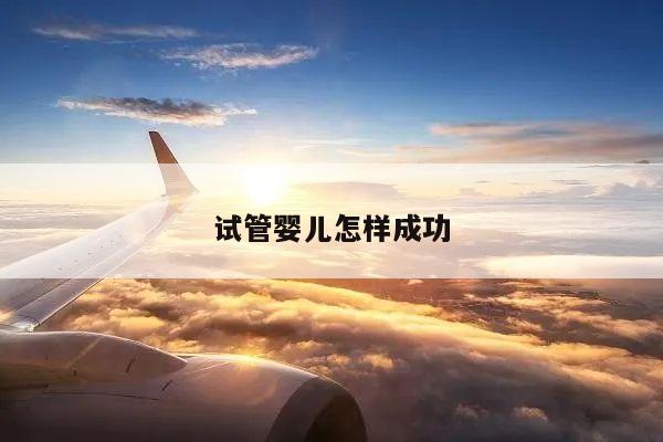 试管婴儿怎样成功怀孕