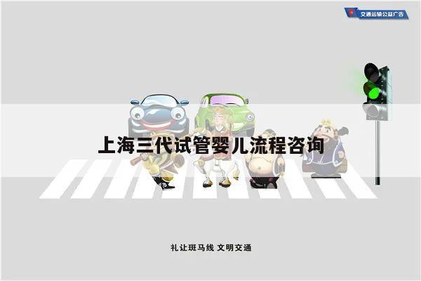 上海三代试管婴儿流程咨询