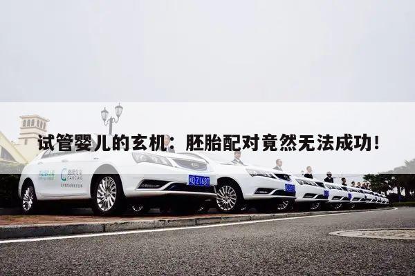 试管婴儿的玄机:胚胎配对竟然无法成功!