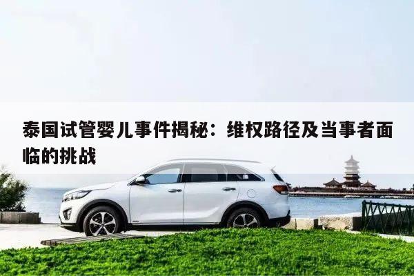 泰国试管婴儿事件揭秘:维权路径及当事者面临的挑战