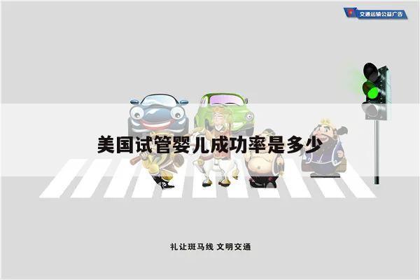 美国试管婴儿成功率是多少