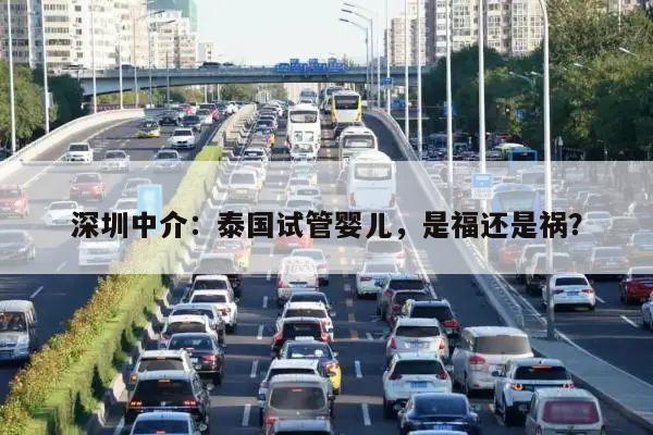 深圳中介：泰国试管婴儿，是福还是祸？