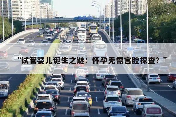 “试管婴儿诞生之谜:怀孕无需宫腔探查?”