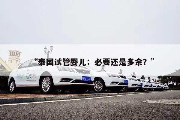 “泰国试管婴儿:必要还是多余?”