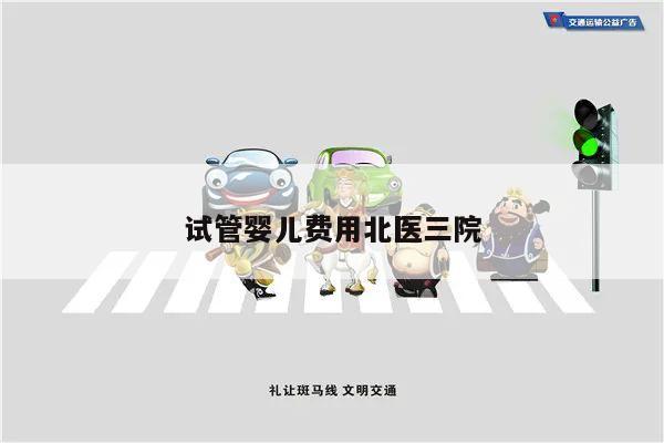 试管婴儿费用北医三院