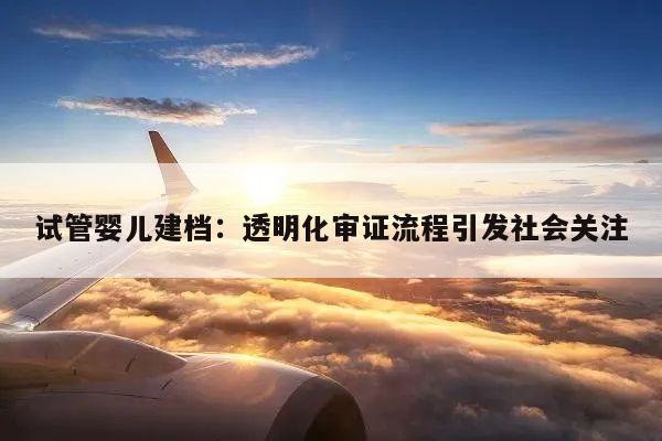 试管婴儿建档:透明化审证流程引发社会关注