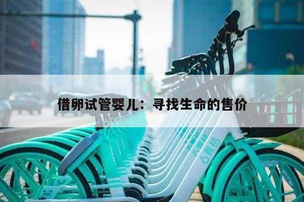 借卵试管婴儿:寻找生命的售价