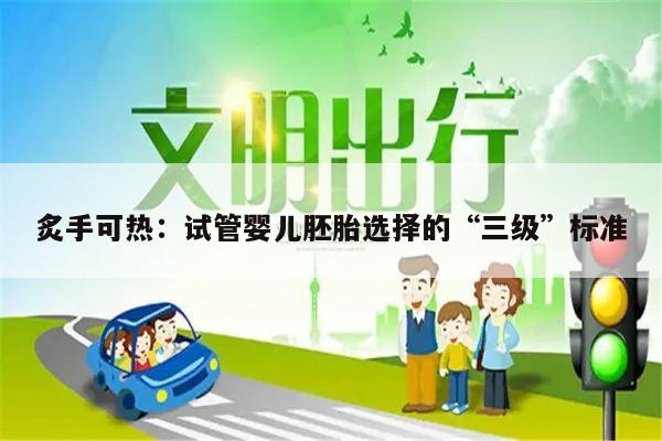 炙手可热:试管婴儿胚胎选择的“三级”标准