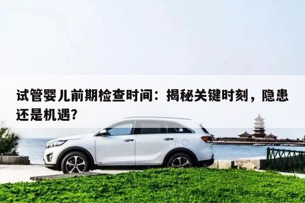 试管婴儿前期检查时间：揭秘关键时刻，隐患还是机遇？