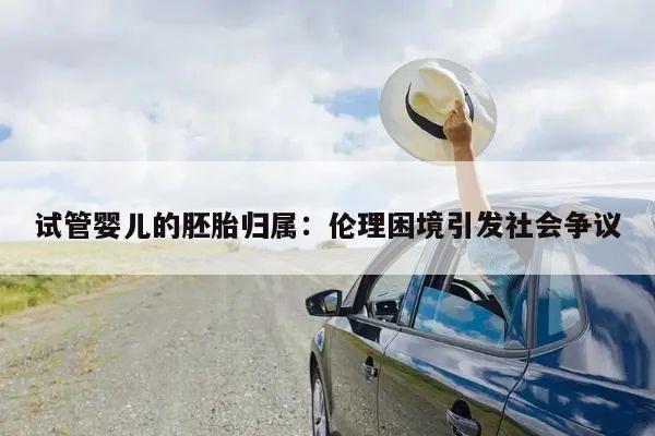 试管婴儿的胚胎归属：伦理困境引发社会争议