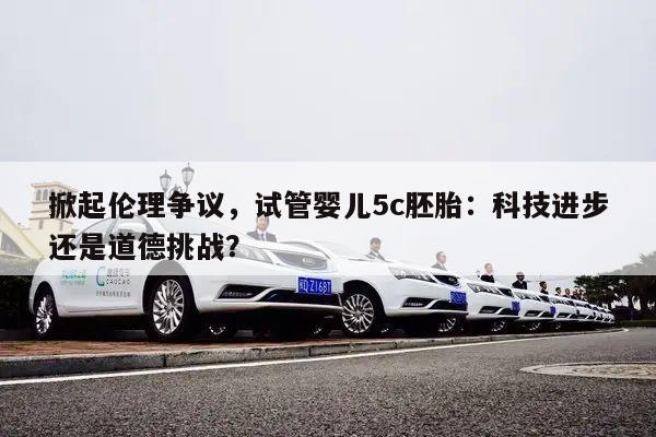 掀起伦理争议,试管婴儿5c胚胎:科技进步还是道德挑战?