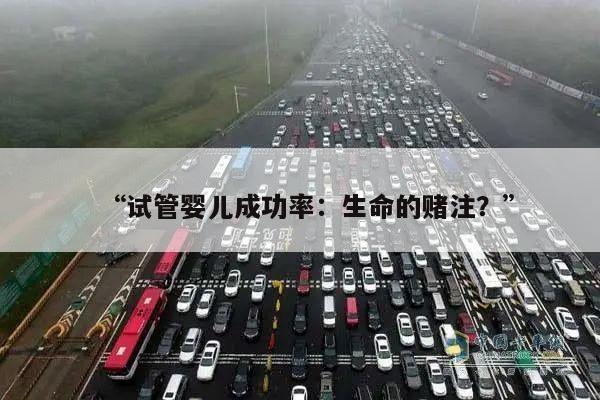 试管婴儿成功率：生命的赌注？