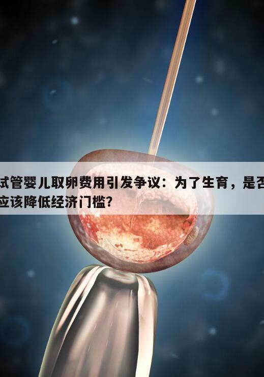 试管婴儿取卵费用引发争议:为了生育,是否应该降低经济门槛?