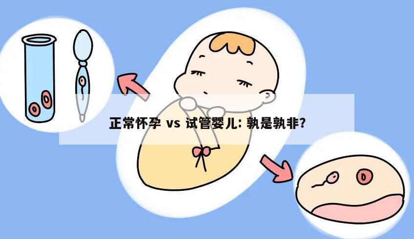 正常怀孕 vs 试管婴儿: 孰是孰非？