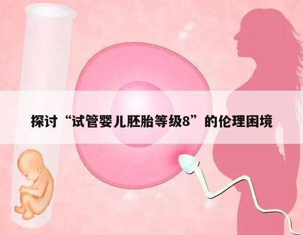 探讨“试管婴儿胚胎等级8”的伦理困境