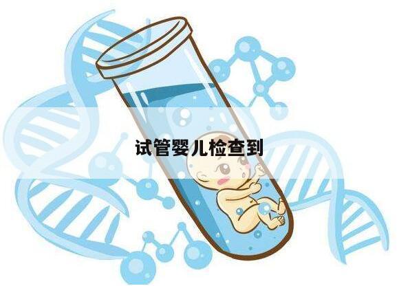 试管婴儿检查到