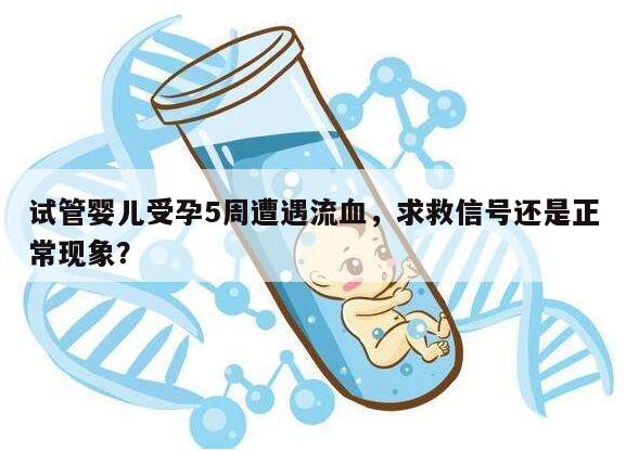 试管婴儿受孕5周遭遇流血,求救信号还是正常现象?