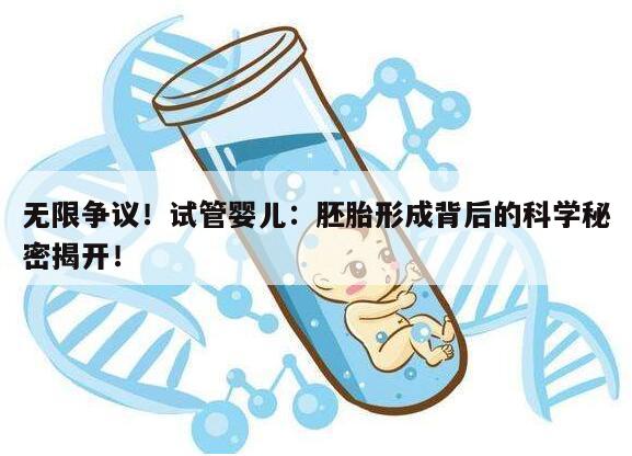无限争议!试管婴儿:胚胎形成背后的科学秘密揭开!
