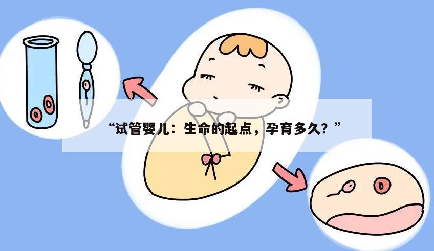 “试管婴儿：生命的起点，孕育多久？”