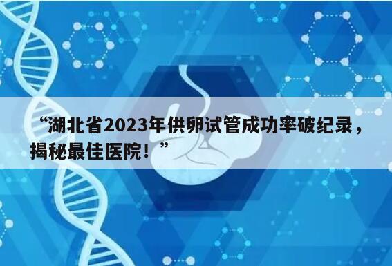 湖北省2023年供卵试管成功率破纪录,揭秘最佳医院!
