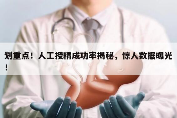 划重点!人工授精成功率揭秘,惊人数据曝光!