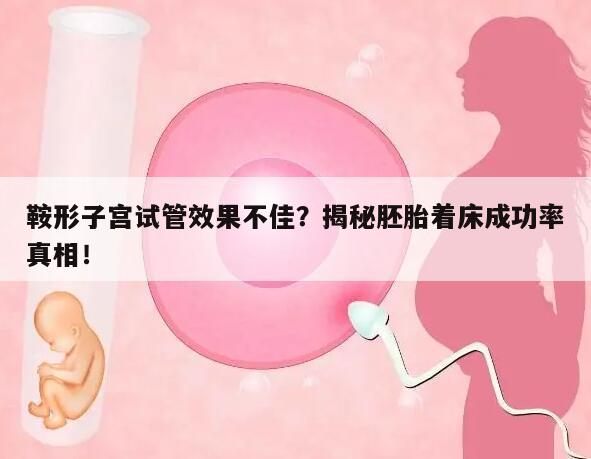 鞍形子宫试管效果不佳？揭秘胚胎着床成功率真相！