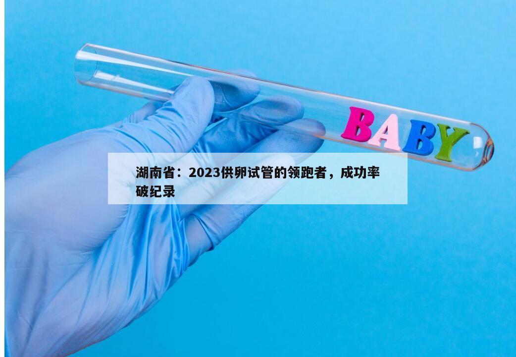 湖南省:2023供卵试管的领跑者,成功率破纪录
