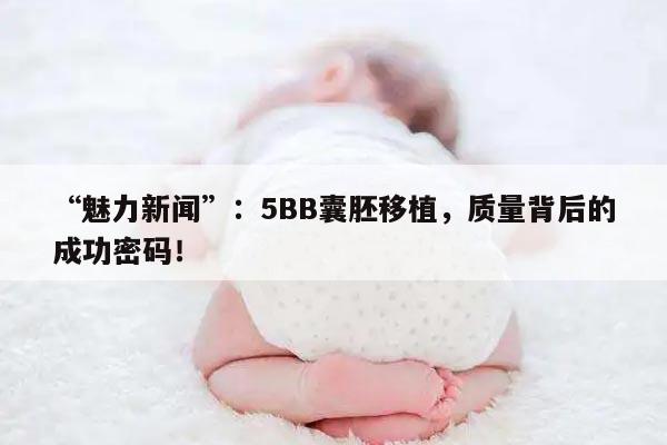“魅力新闻”：5BB囊胚移植，质量背后的成功密码！
