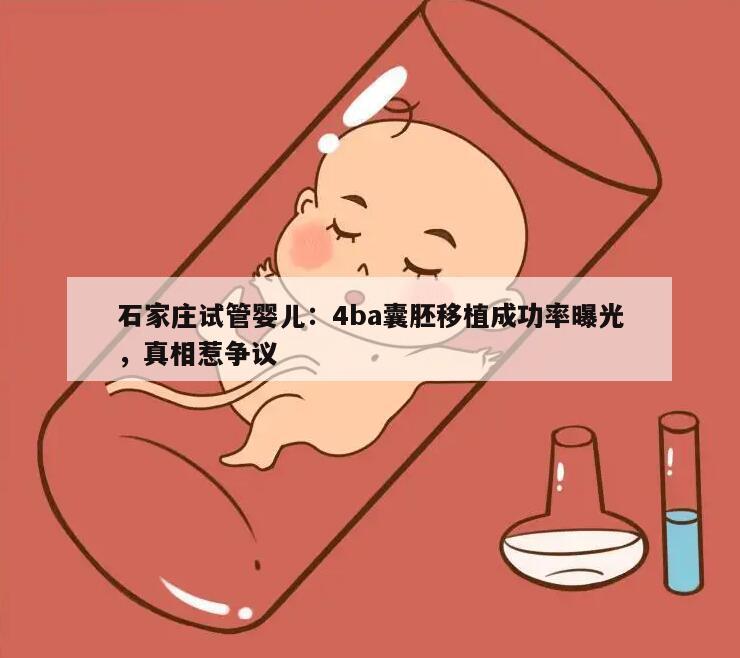 石家庄试管婴儿:4ba囊胚移植成功率曝光,真相惹争议