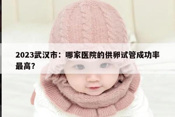 2023武汉市：哪家医院的供卵试管成功率最高？