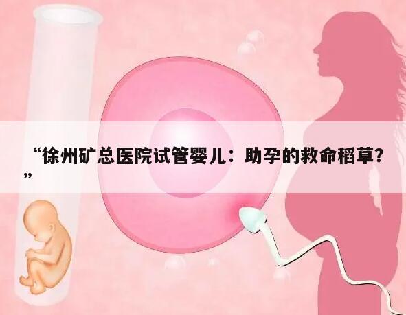 徐州矿总医院试管婴儿:助孕的救命稻草?
