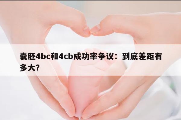 囊胚4bc和4cb成功率争议:到底差距有多大?
