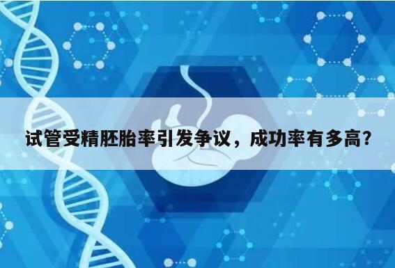 试管受精胚胎率引发争议，成功率有多高？