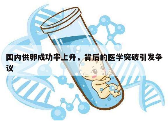 国内供卵成功率上升,背后的医学突破引发争议