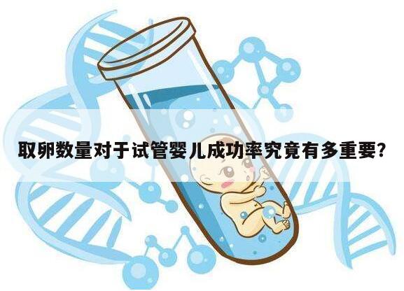 取卵数量对于试管婴儿成功率究竟有多重要?