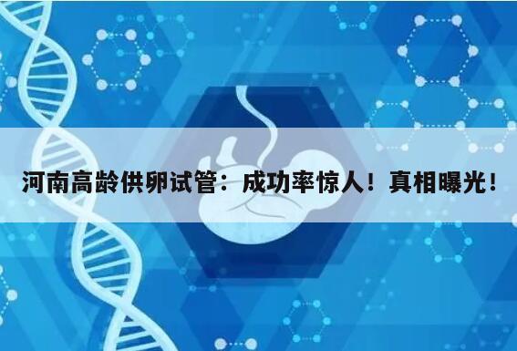 河南高龄供卵试管：成功率惊人！真相曝光！