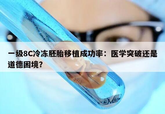 一级8C冷冻胚胎移植成功率:医学突破还是道德困境?