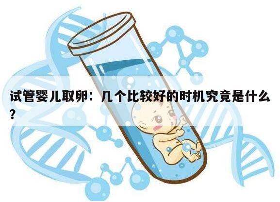 试管婴儿取卵:几个比较好的时机究竟是什么?
