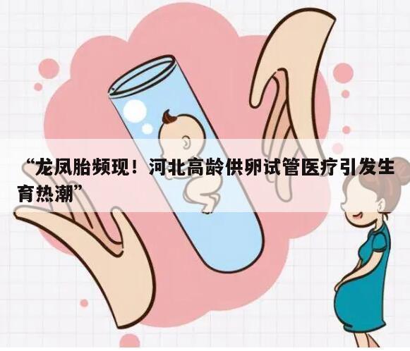 “龙凤胎频现!河北高龄供卵试管医疗引发生育热潮”