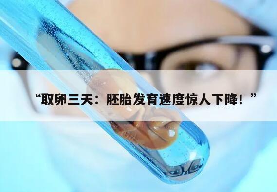 取卵三天:胚胎发育速度惊人下降!