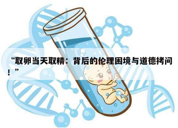 取卵当天取精:背后的伦理困境与道德拷问!