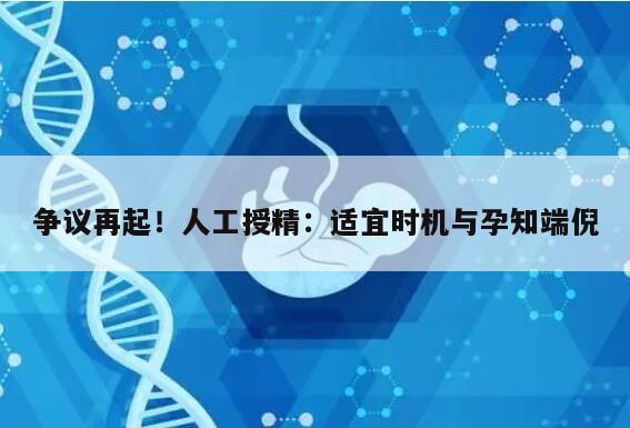 争议再起!人工授精:适宜时机与孕知端倪