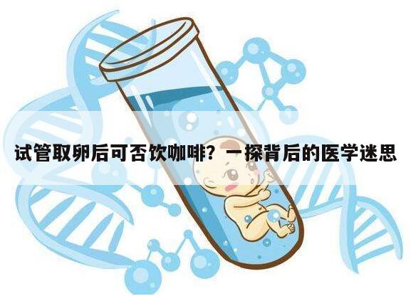 试管取卵后可否饮咖啡?一探背后的医学迷思