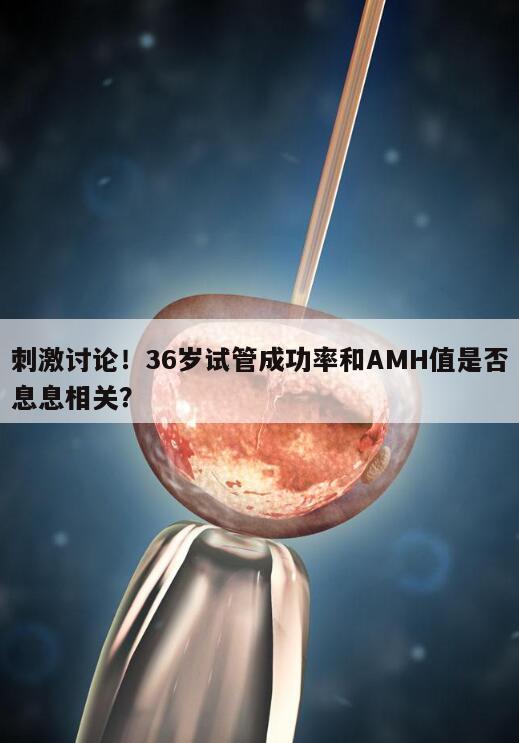 刺激讨论!36岁试管成功率和AMH值是否息息相关?