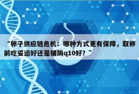 卵子供应链危机：哪种方式更有保障，取卵前吃妥运好还是辅酶q10好？